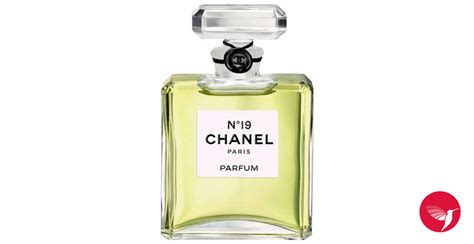 chanel no. 19 perfume notes